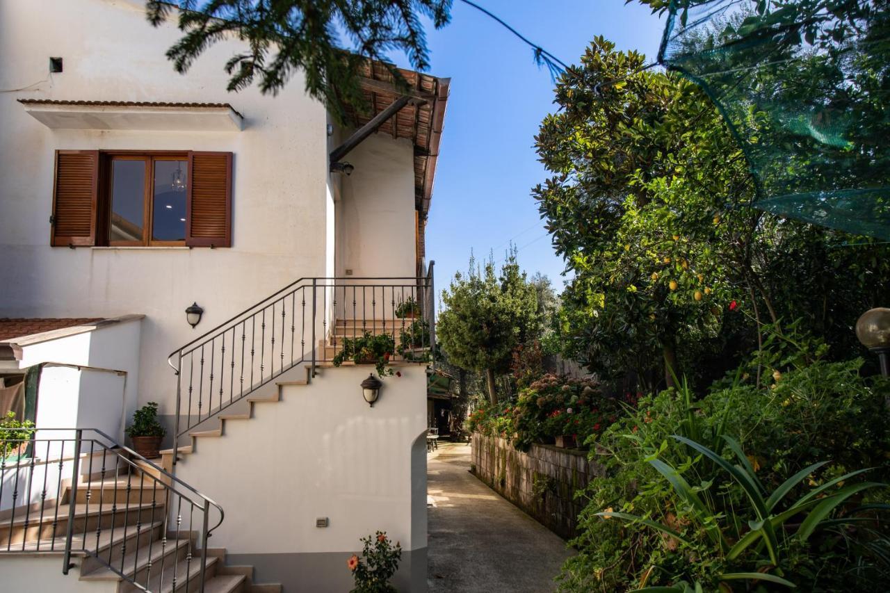 Mediterranean House Sorrento Eksteriør bilde